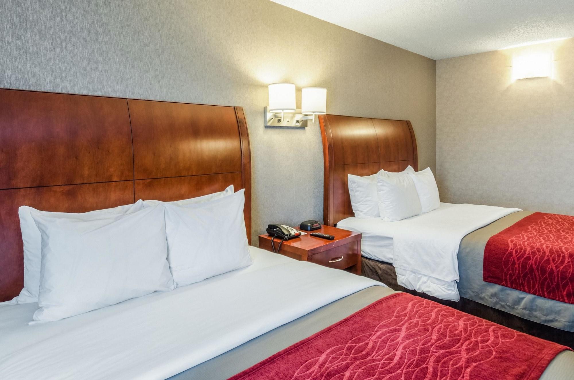 Comfort Inn & Suites West Springfield Luaran gambar